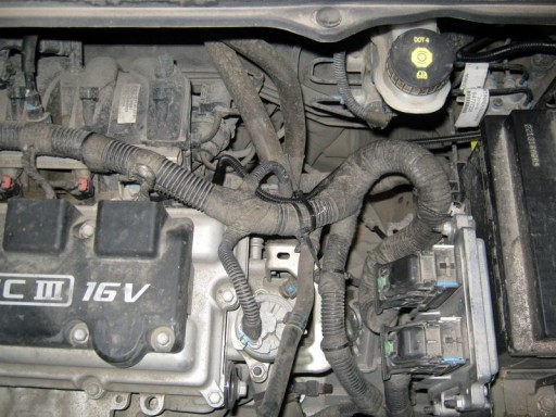 Chevrolet Cobalt - Точки подключения автосигнализации. Температурный датчик закреплен под болтом датчика распредвала.
