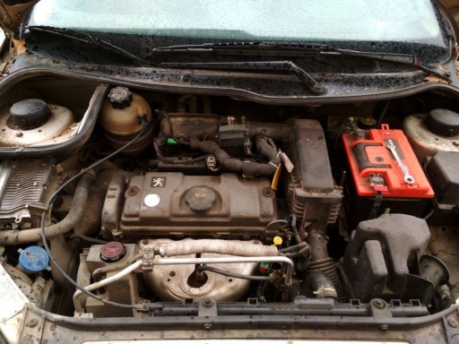 Peugeot 206 1.4L (двигатель KFW) - Вид двигателя автомобиля